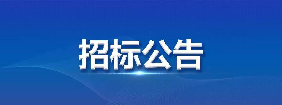 龍電華鑫集團(tuán)DIP 插件自動化生產(chǎn)線項(xiàng)目投標(biāo)公告